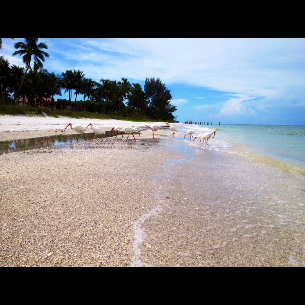 Meet your Posher, Lily